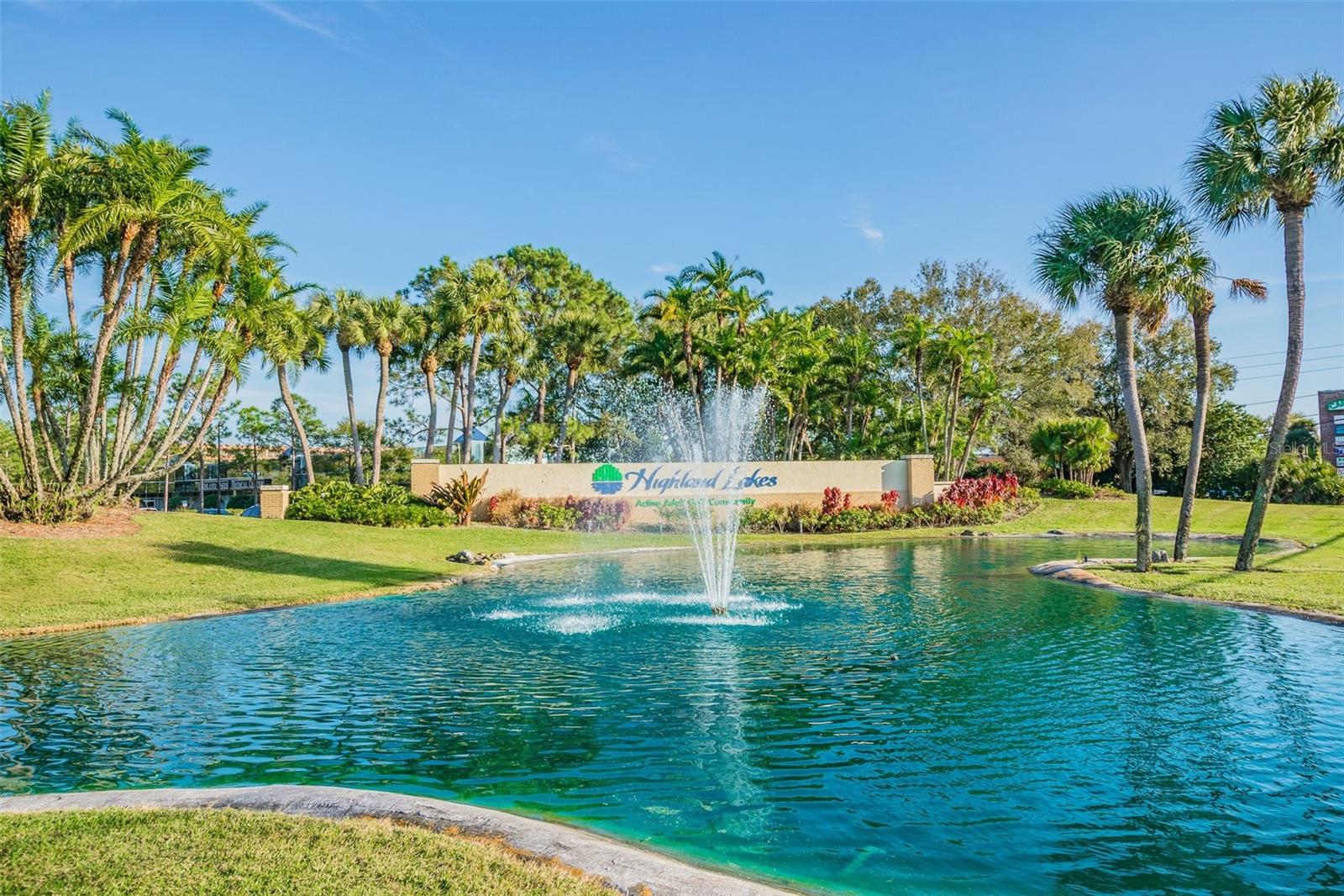 1335 QUEEN ANNE DR #A, PALM HARBOR, FL, 34684