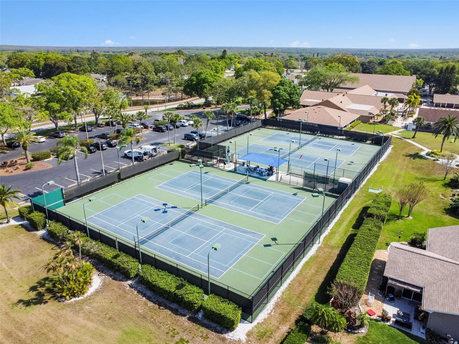 1335 QUEEN ANNE DR #A, PALM HARBOR, FL, 34684