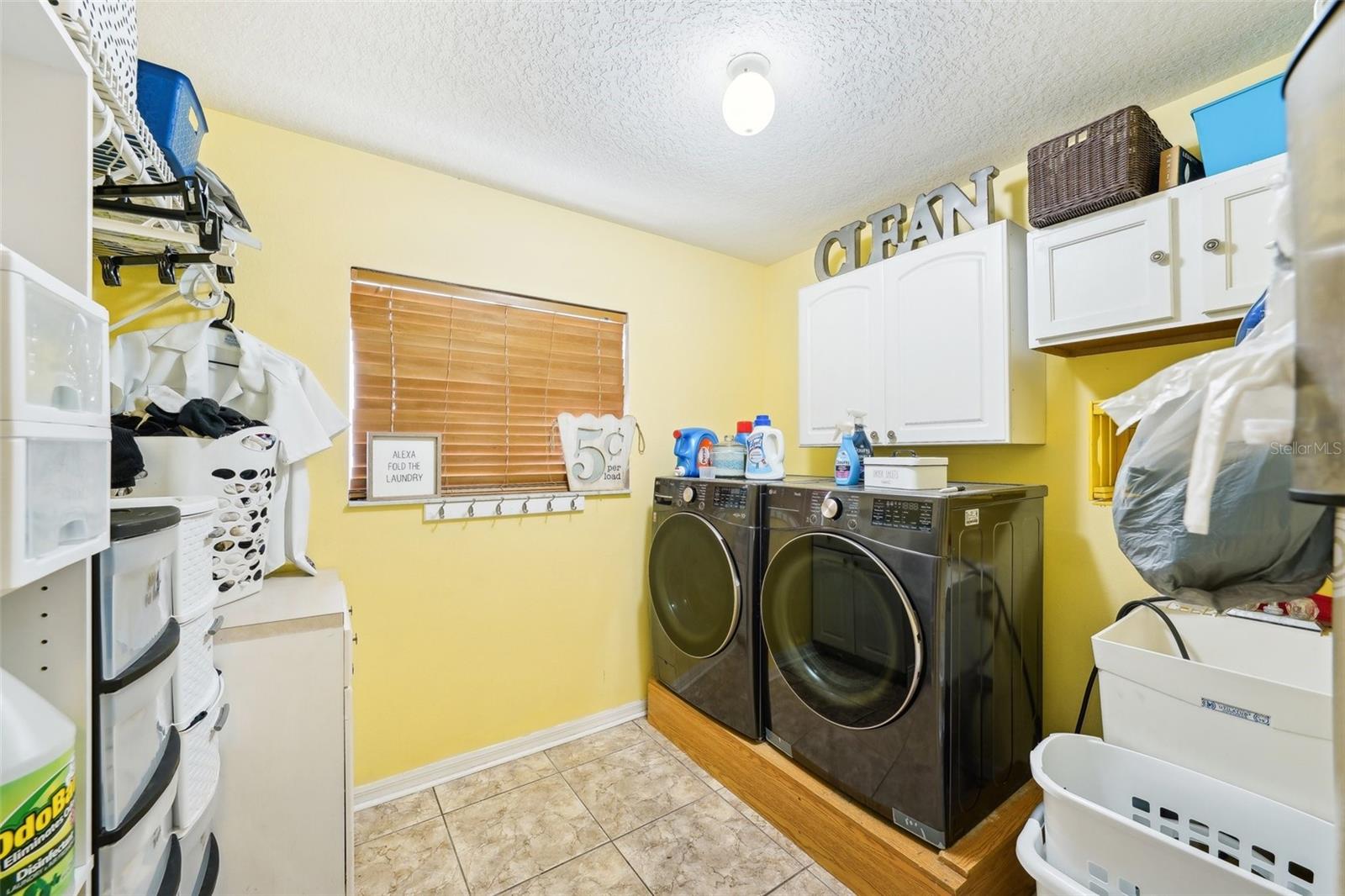 11228 LAKE LANIER DR, RIVERVIEW, FL, 33569