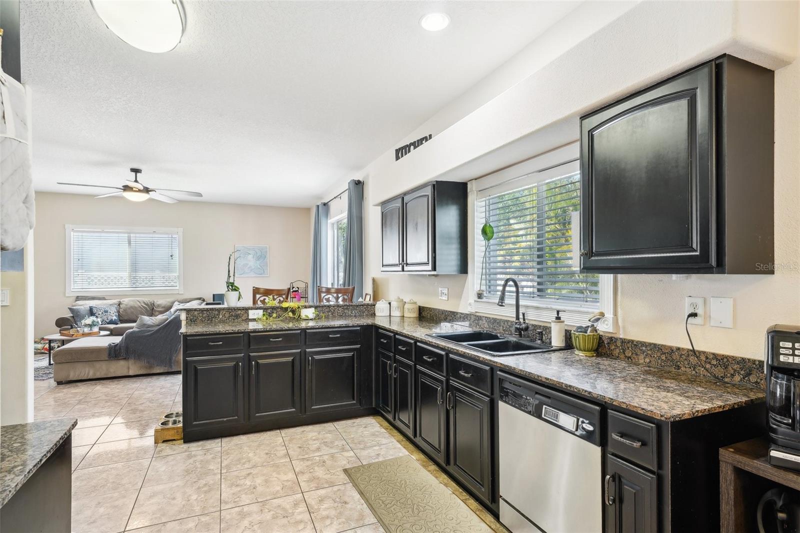 11228 LAKE LANIER DR, RIVERVIEW, FL, 33569