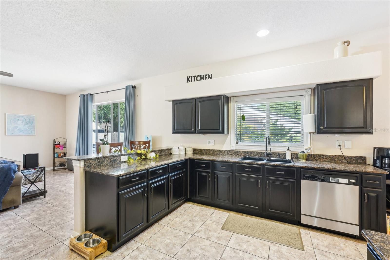 11228 LAKE LANIER DR, RIVERVIEW, FL, 33569