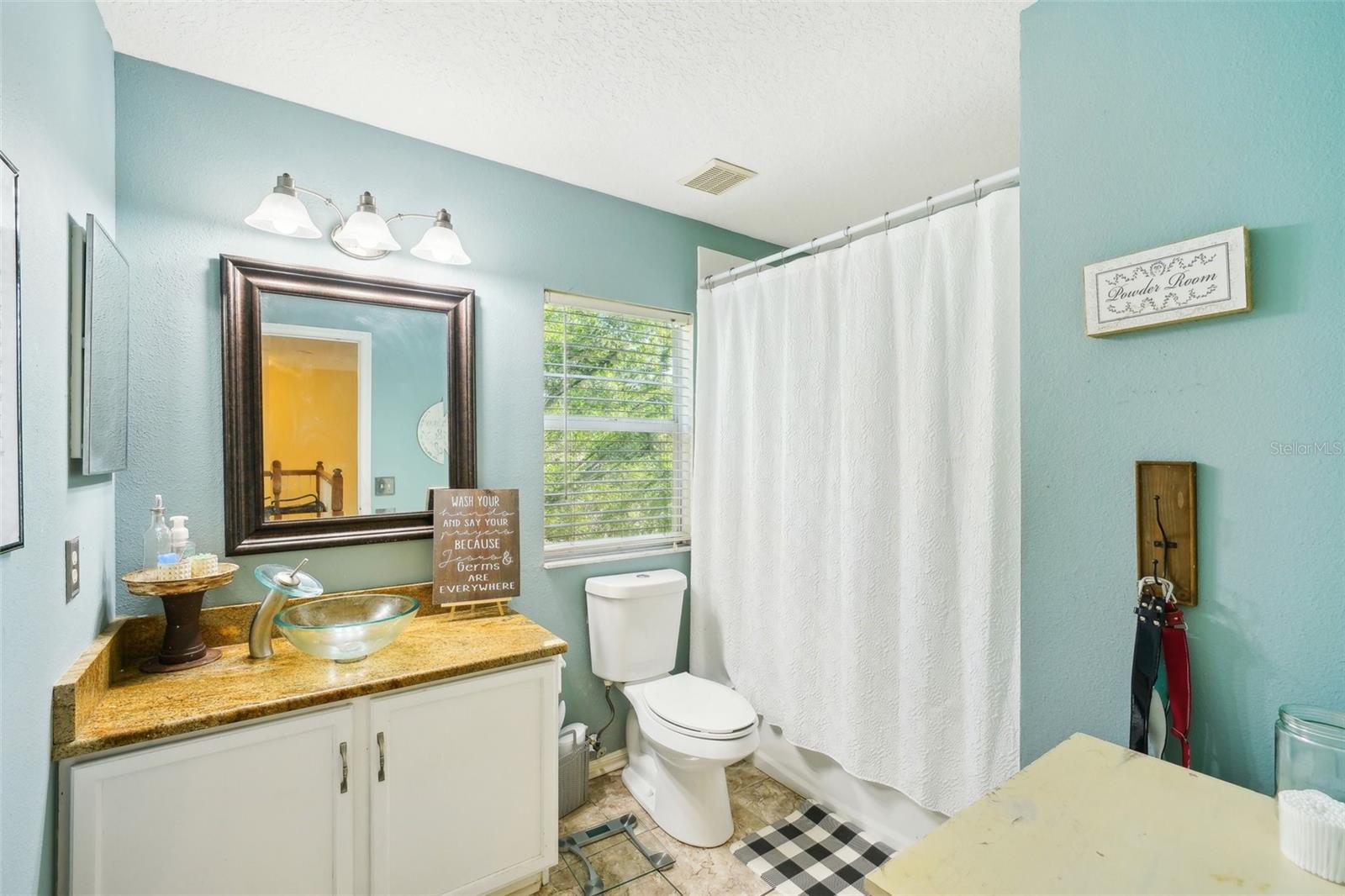 11228 LAKE LANIER DR, RIVERVIEW, FL, 33569