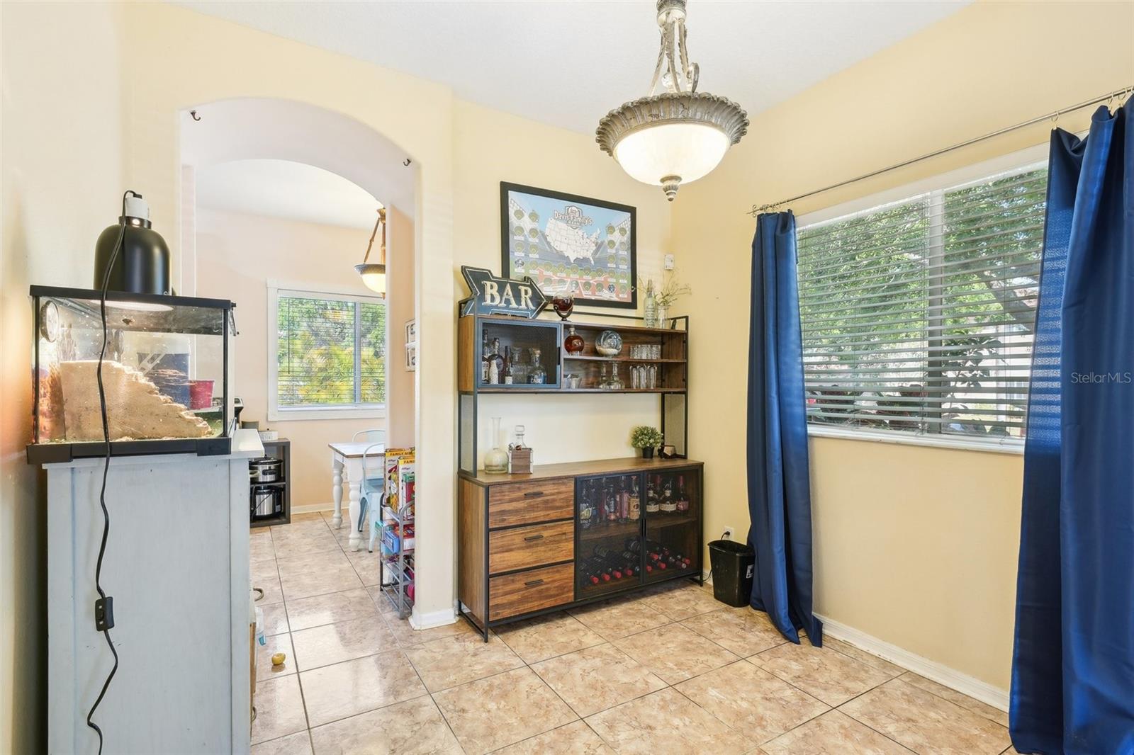 11228 LAKE LANIER DR, RIVERVIEW, FL, 33569