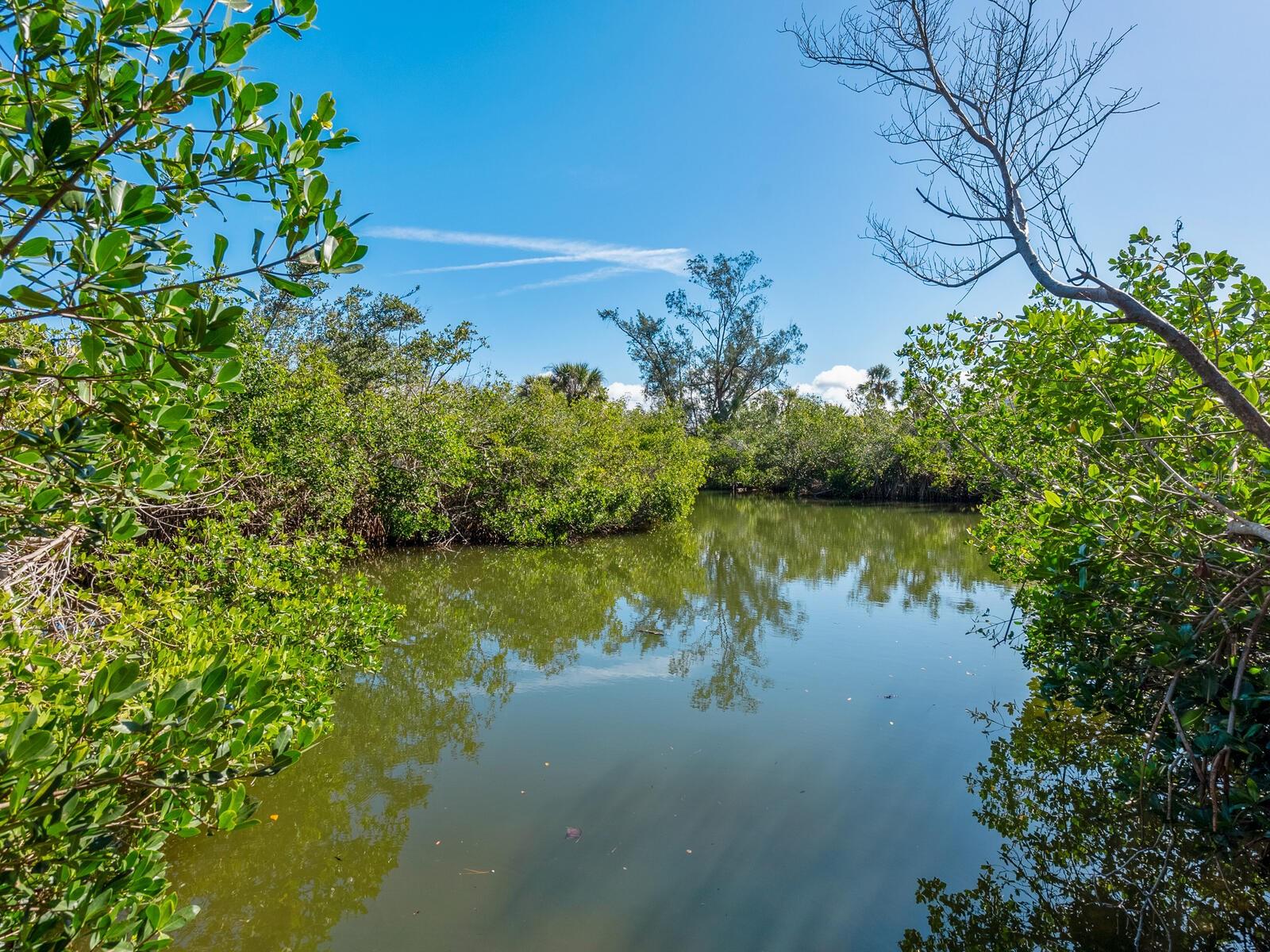 7219 PINE NEEDLE RD, SARASOTA, FL, 34242