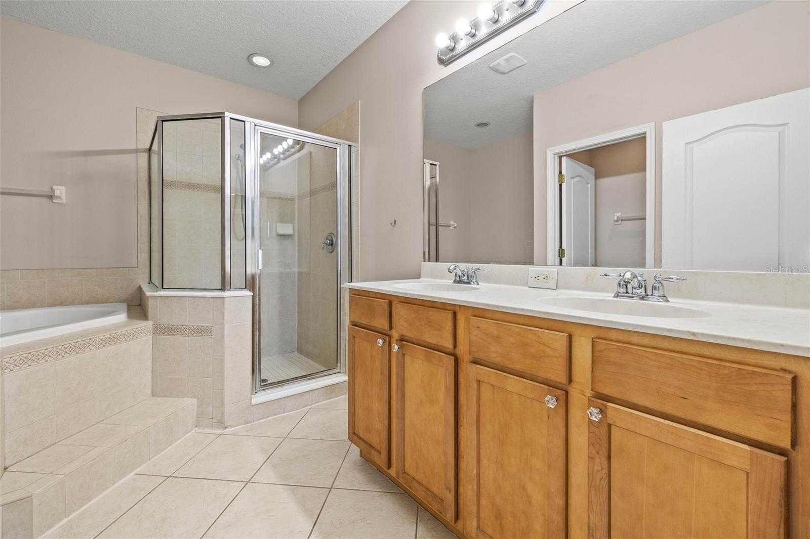 10418 TULIP FIELD WAY, RIVERVIEW, FL, 33578