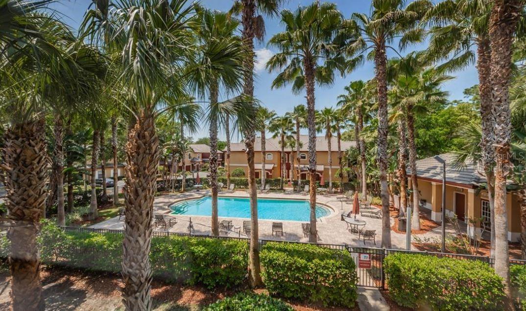 2220 CHIANTI PL #8-0817, PALM HARBOR, FL, 34683