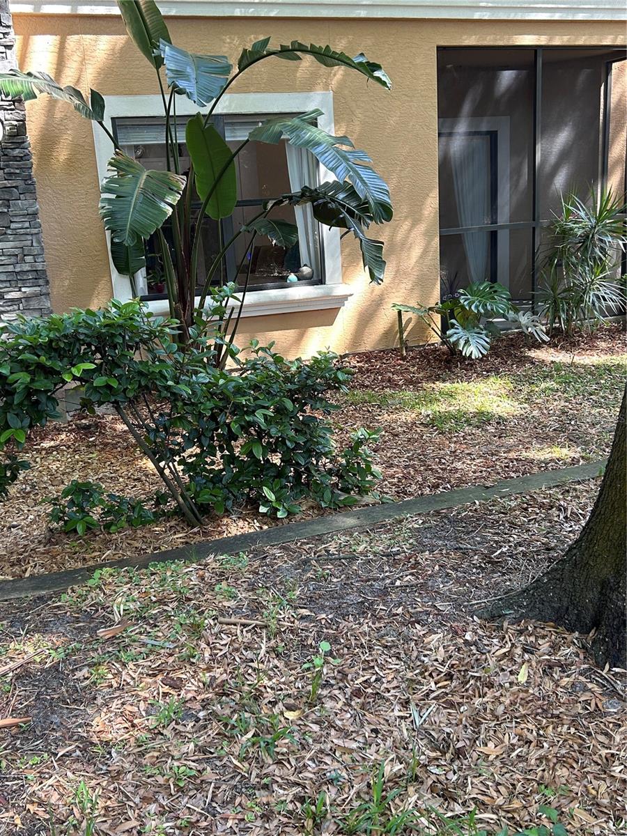 2220 CHIANTI PL #8-0817, PALM HARBOR, FL, 34683