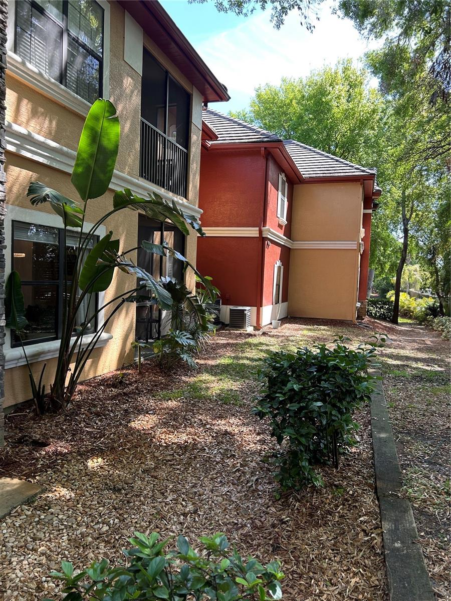 2220 CHIANTI PL #8-0817, PALM HARBOR, FL, 34683