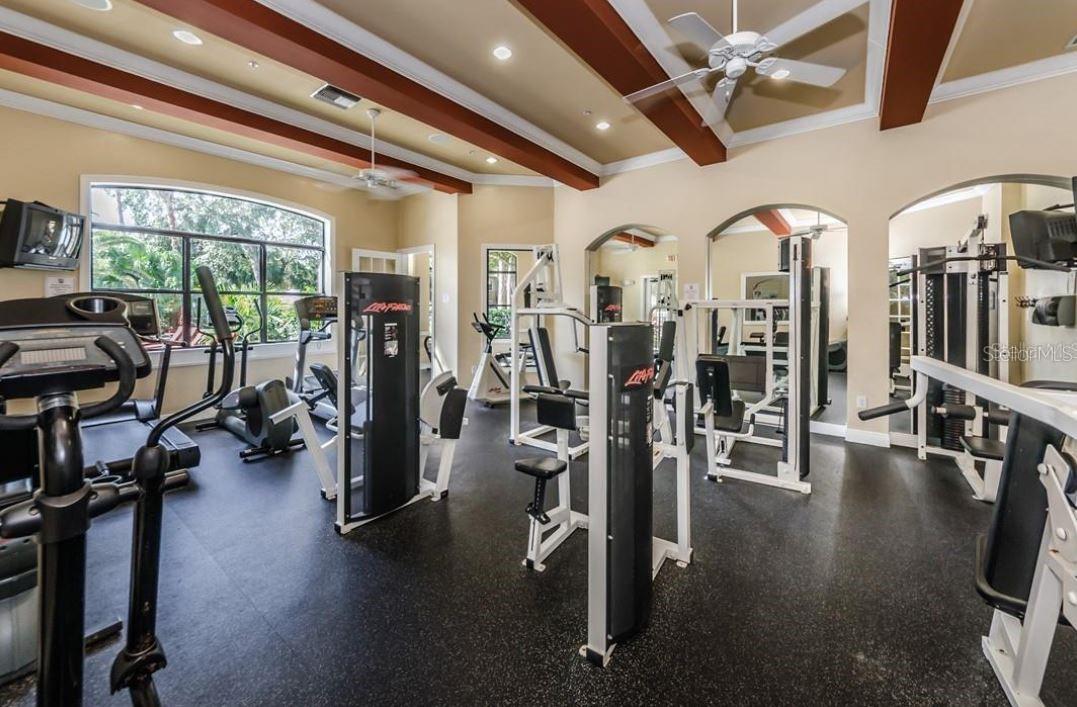 2220 CHIANTI PL #8-0817, PALM HARBOR, FL, 34683