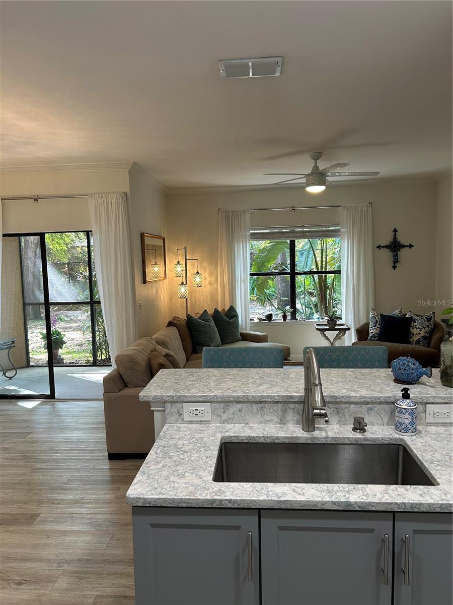 2220 CHIANTI PL #8-0817, PALM HARBOR, FL, 34683