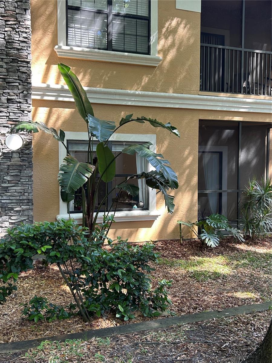 2220 CHIANTI PL #8-0817, PALM HARBOR, FL, 34683