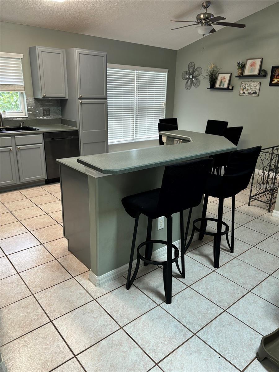 8074 SANTEE DR, KISSIMMEE, FL, 34747