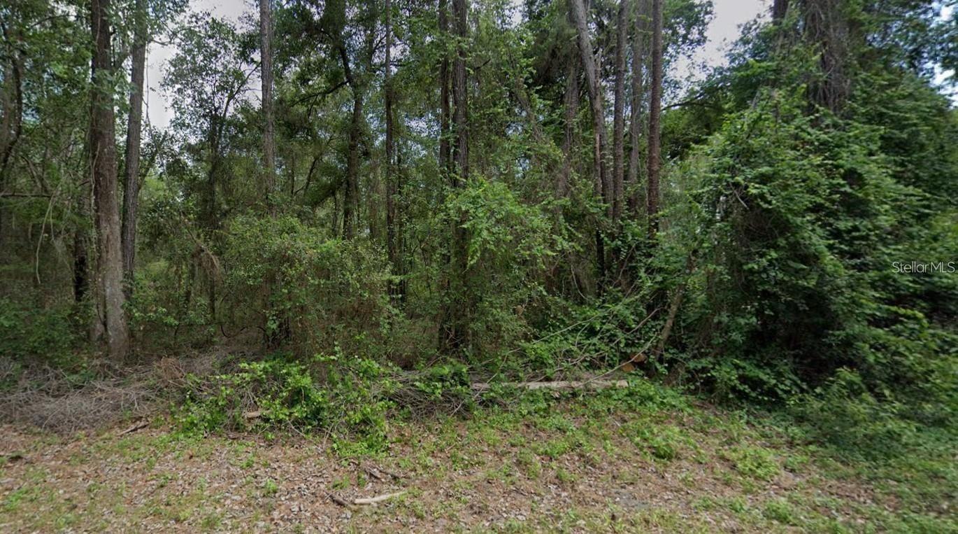 9851 N DAROCA WAY, CITRUS SPRINGS, FL, 34434