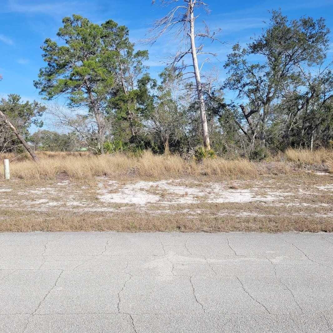457 CONCORD PKWY NW, LAKE PLACID, FL, 33852