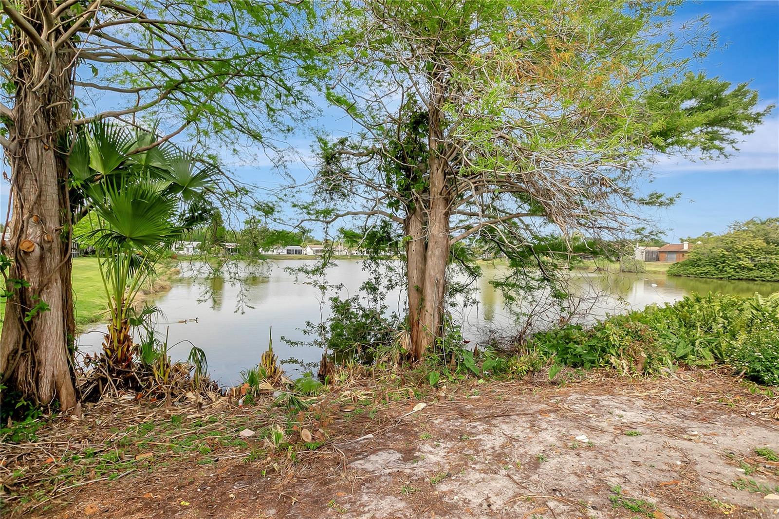 4111 STRATFIELD DR, NEW PORT RICHEY, FL, 34652