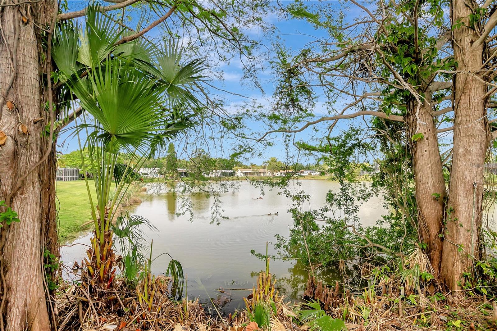 4111 STRATFIELD DR, NEW PORT RICHEY, FL, 34652