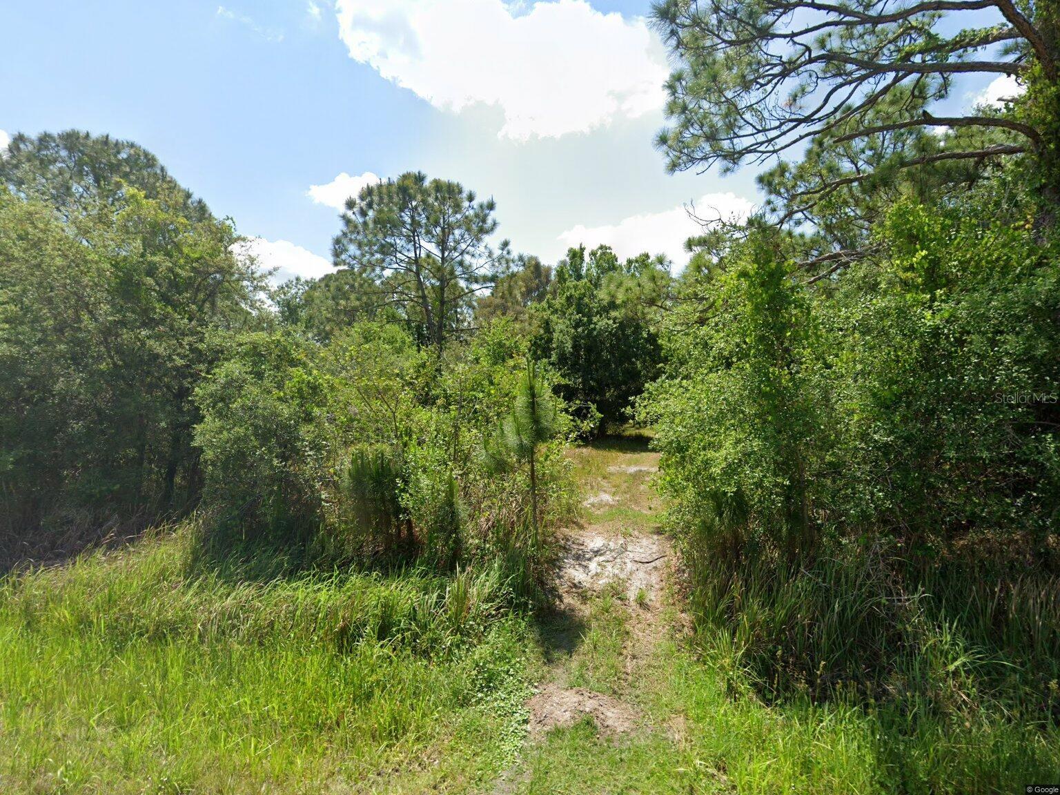 1216 ARCHIE SUMMERS RD, LAKE PLACID, FL, 33852