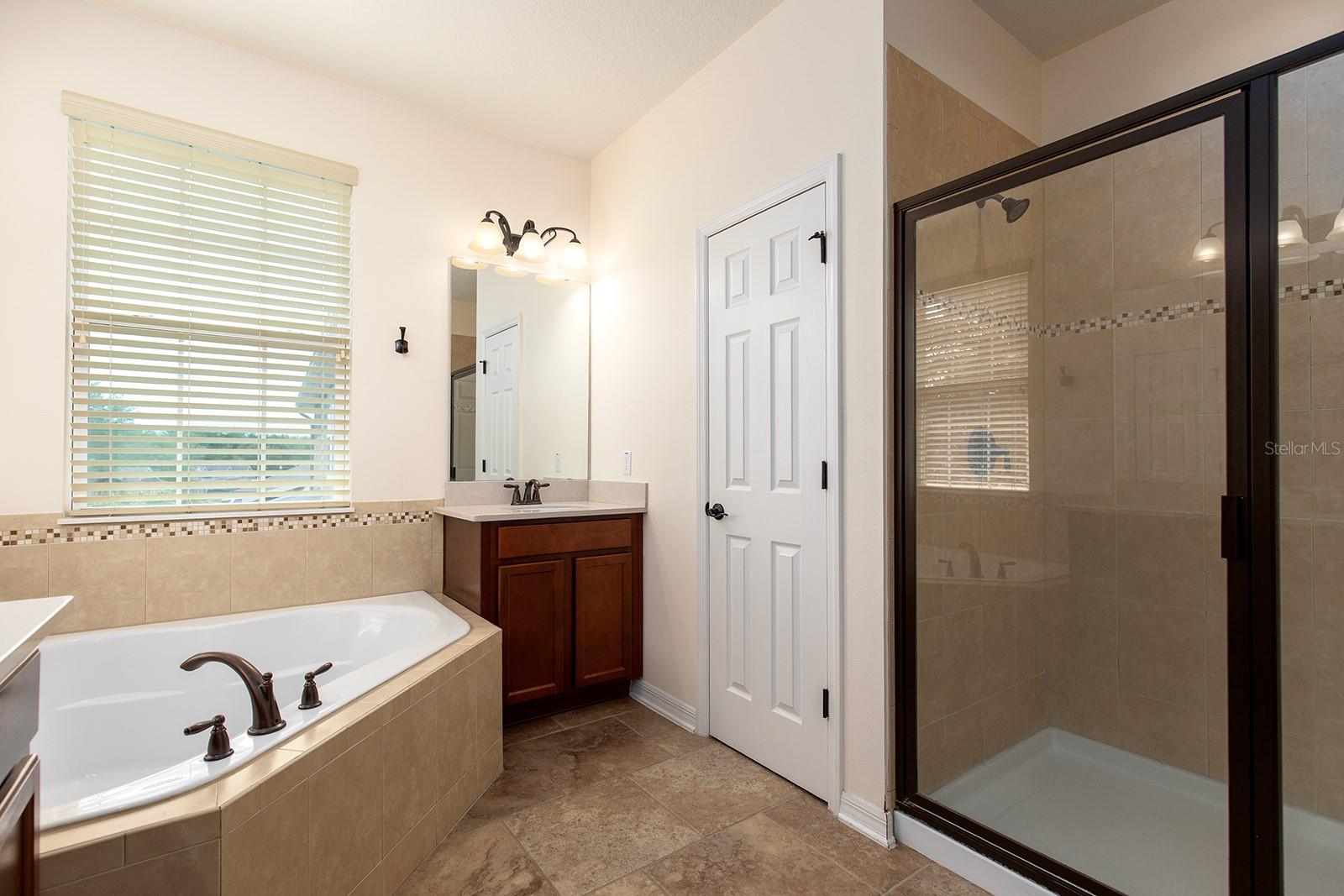 8036 EDGEWOOD FOREST DR, ORLANDO, FL, 32827