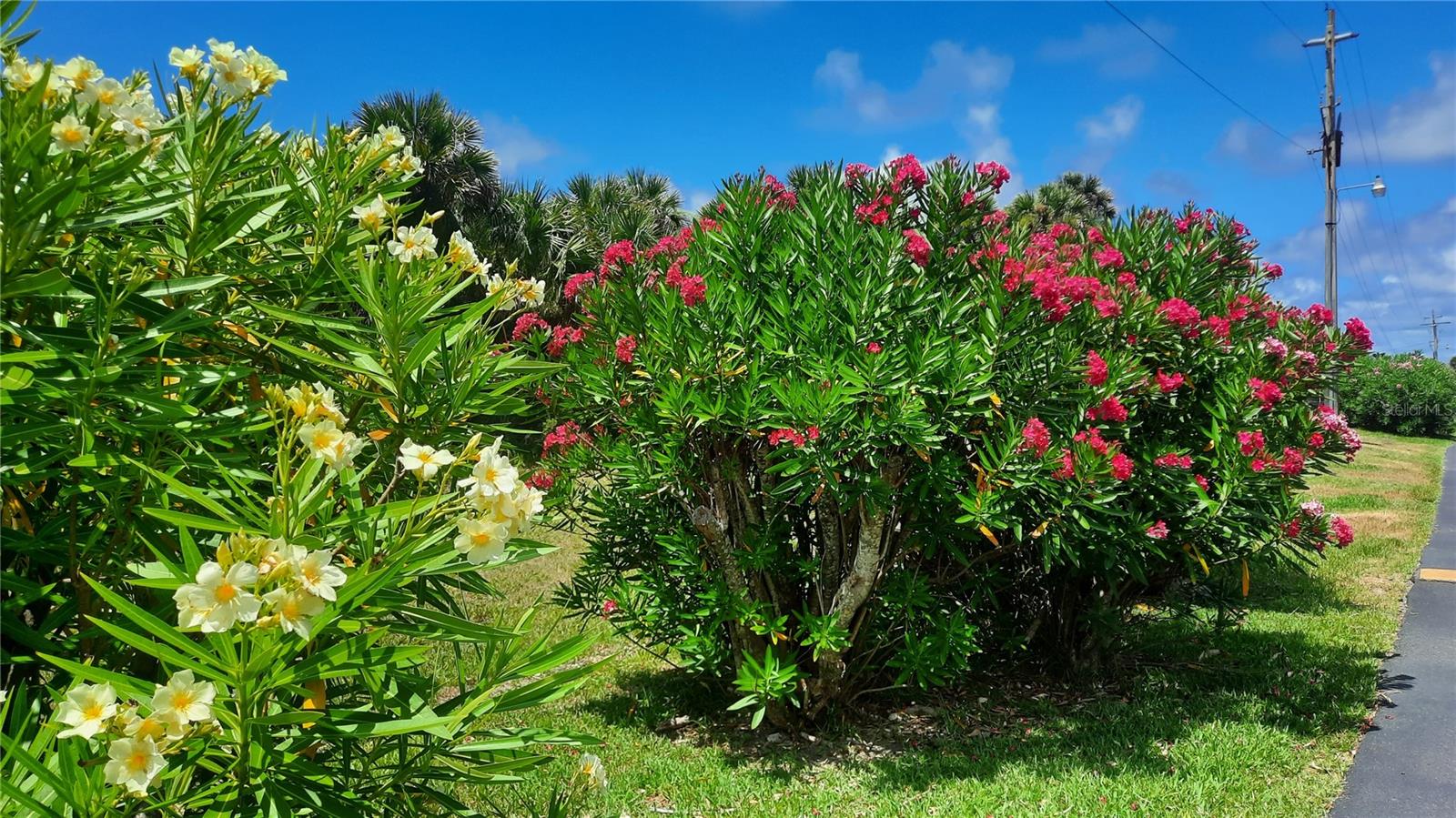 35 OCEAN PALM VILLAS N, FLAGLER BEACH, FL, 32136