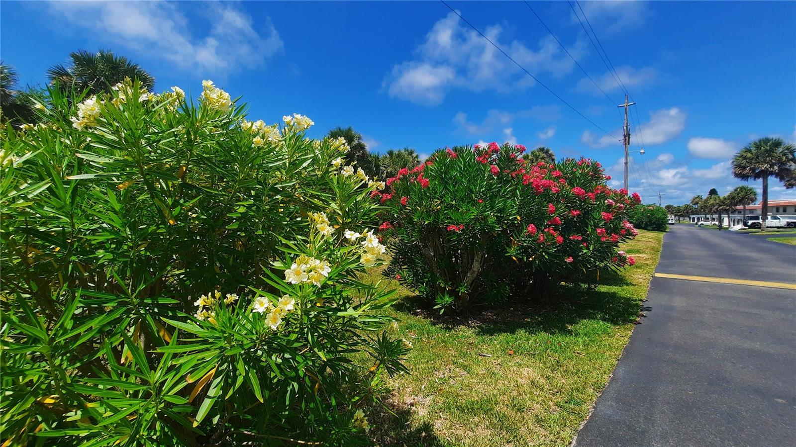 35 OCEAN PALM VILLAS N, FLAGLER BEACH, FL, 32136