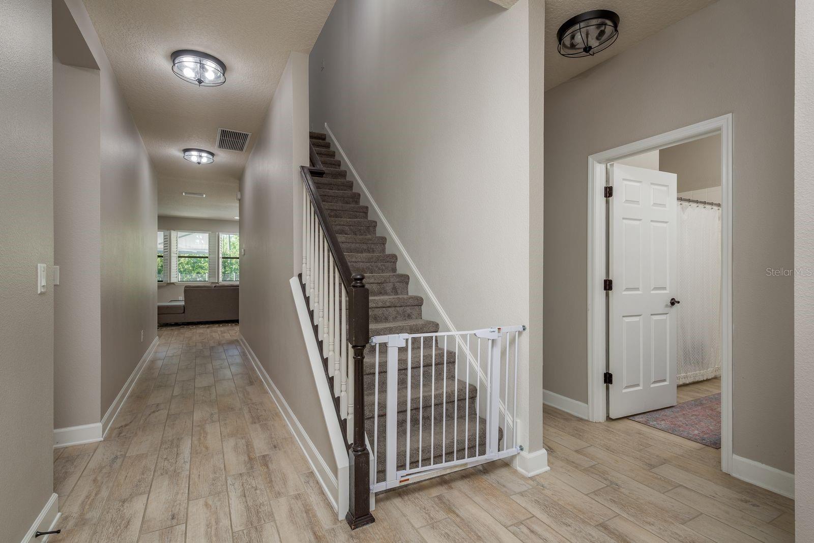 11305 LAZY HICKORY LN, TAMPA, FL, 33635