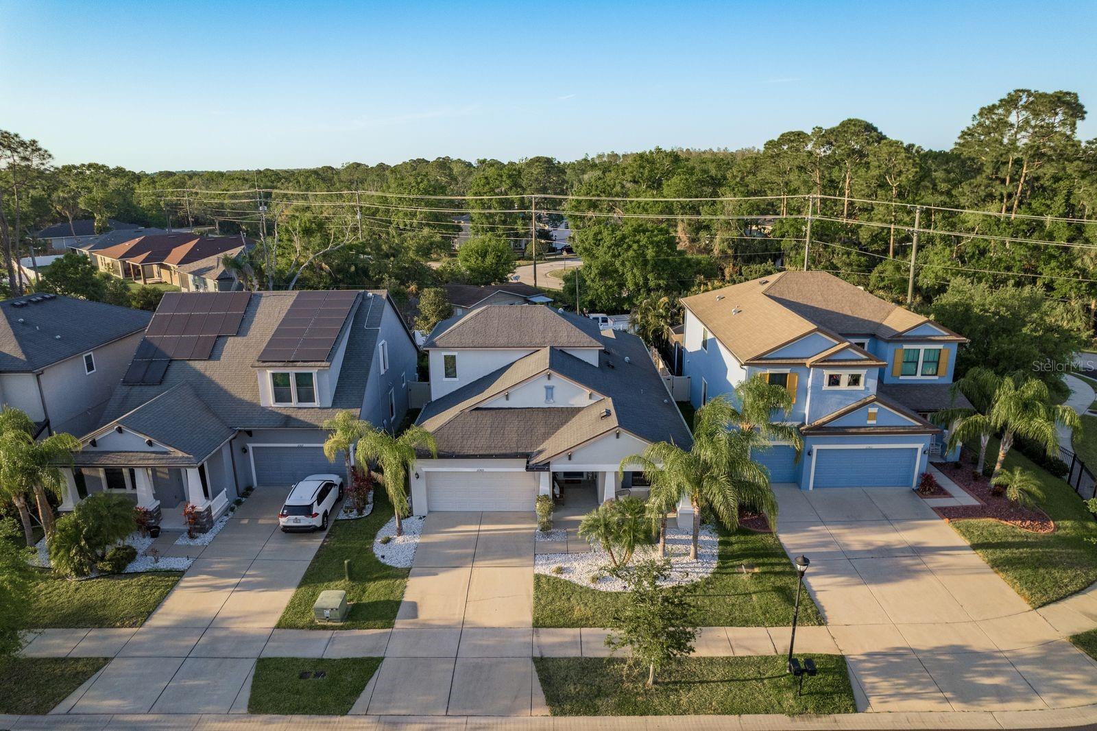 11305 LAZY HICKORY LN, TAMPA, FL, 33635