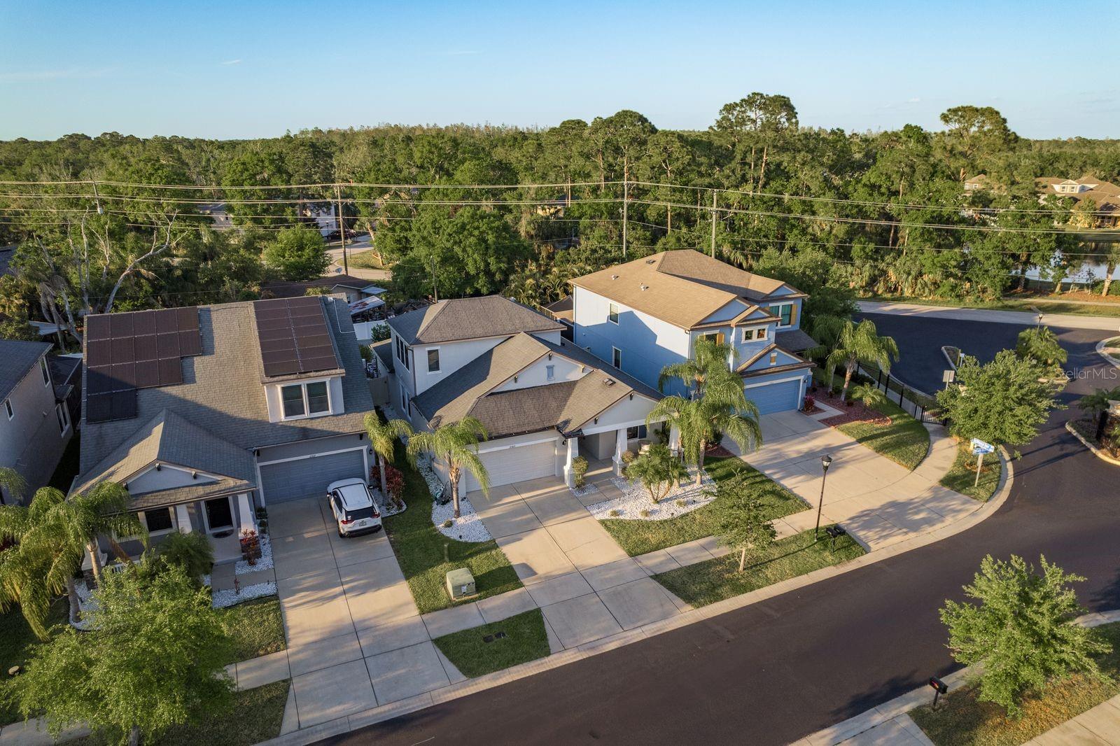 11305 LAZY HICKORY LN, TAMPA, FL, 33635