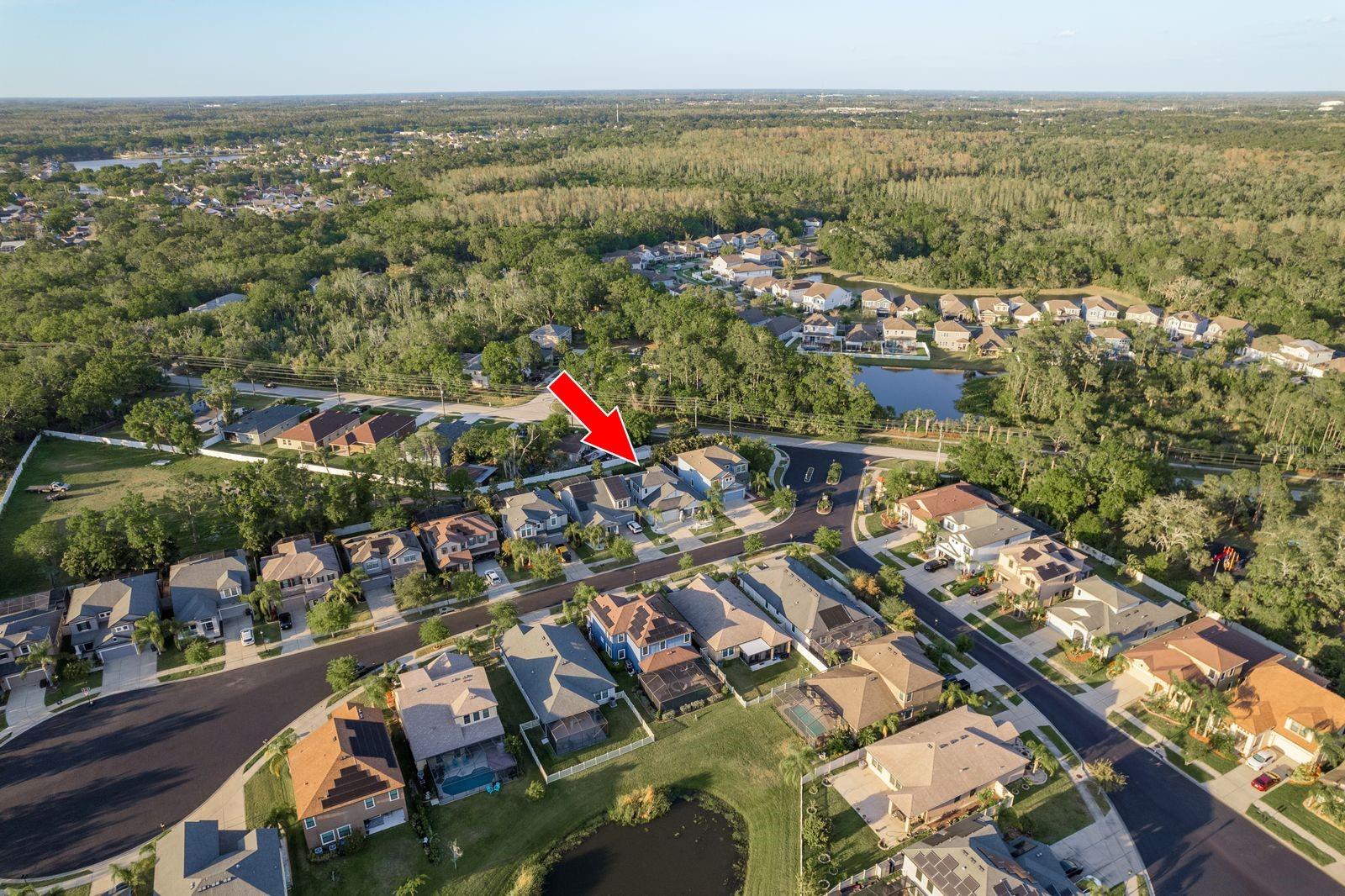 11305 LAZY HICKORY LN, TAMPA, FL, 33635