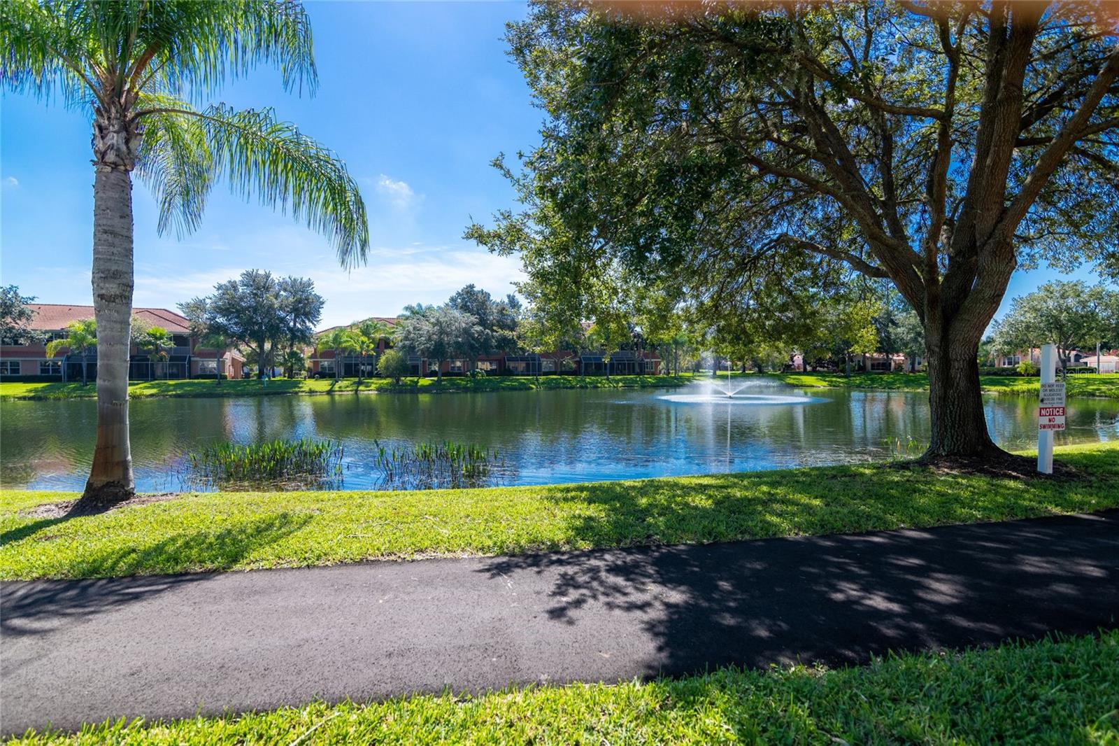 6734 DALI AVE #B102, LAND O LAKES, FL, 34637