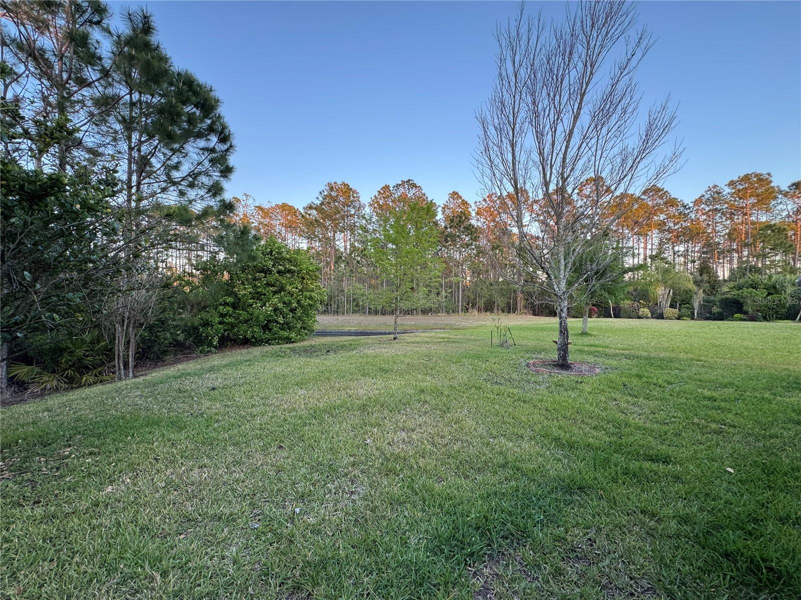 120 S HUMMINGBIRD PL, PALM COAST, FL, 32164