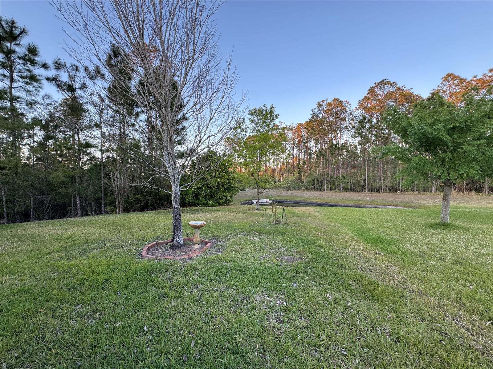 120 S HUMMINGBIRD PL, PALM COAST, FL, 32164