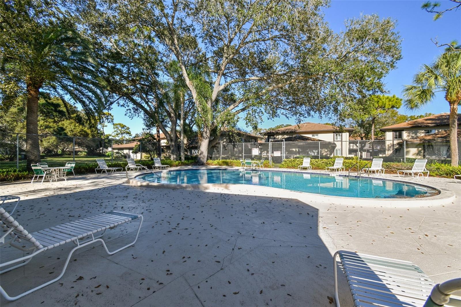 2934 LICHEN LN #A, CLEARWATER, FL, 33760