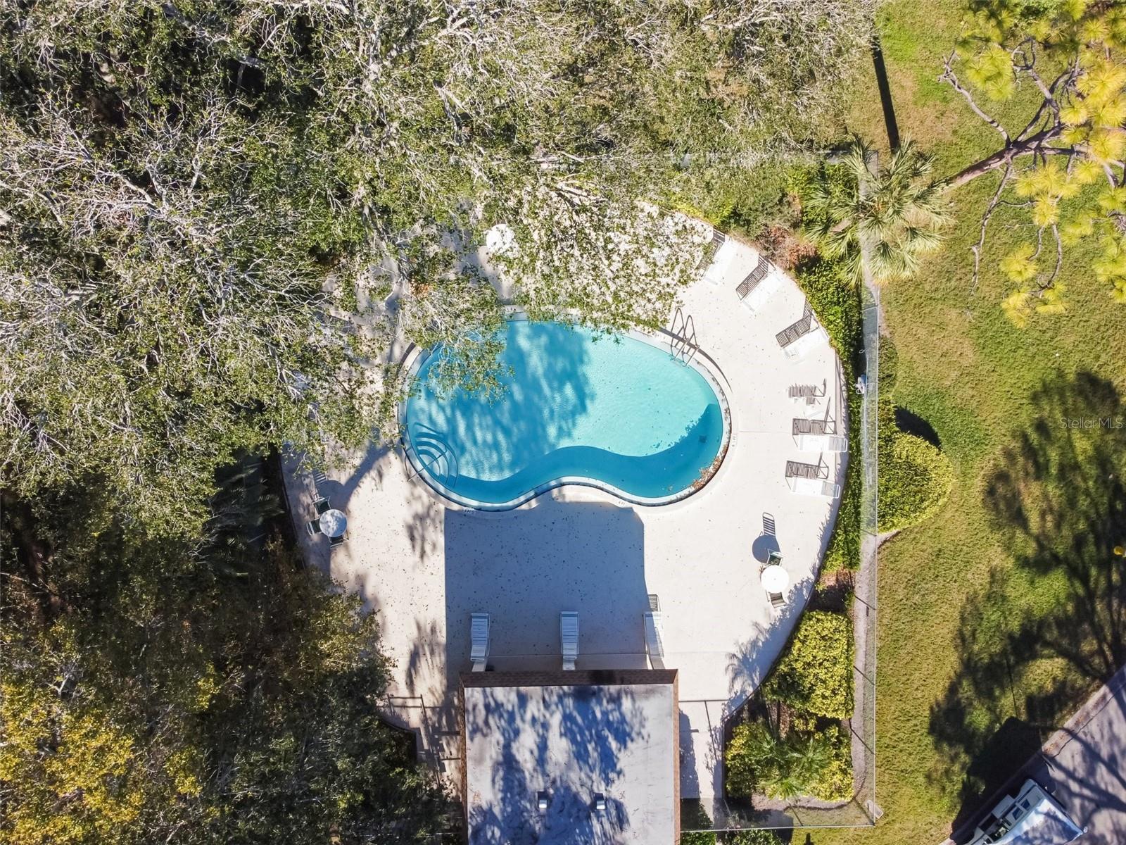 2934 LICHEN LN #A, CLEARWATER, FL, 33760