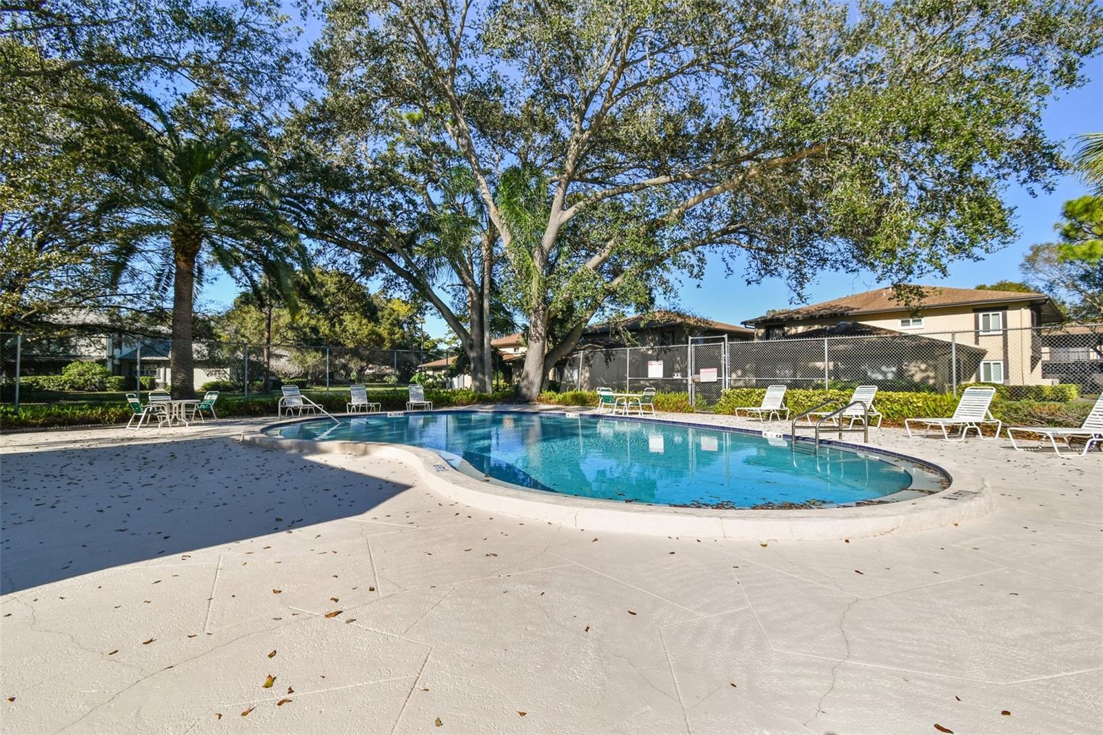 2934 LICHEN LN #A, CLEARWATER, FL, 33760
