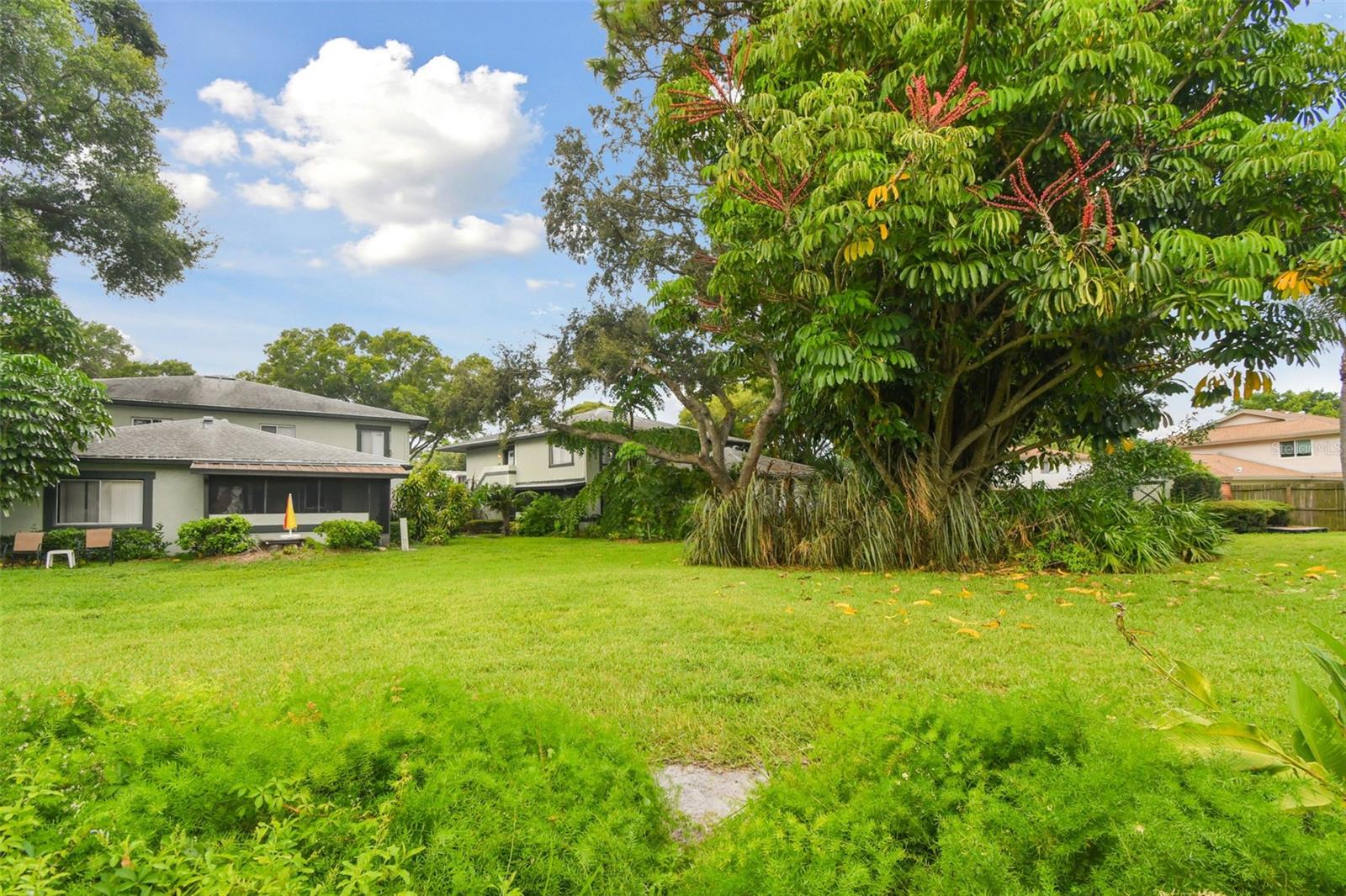 2934 LICHEN LN #A, CLEARWATER, FL, 33760