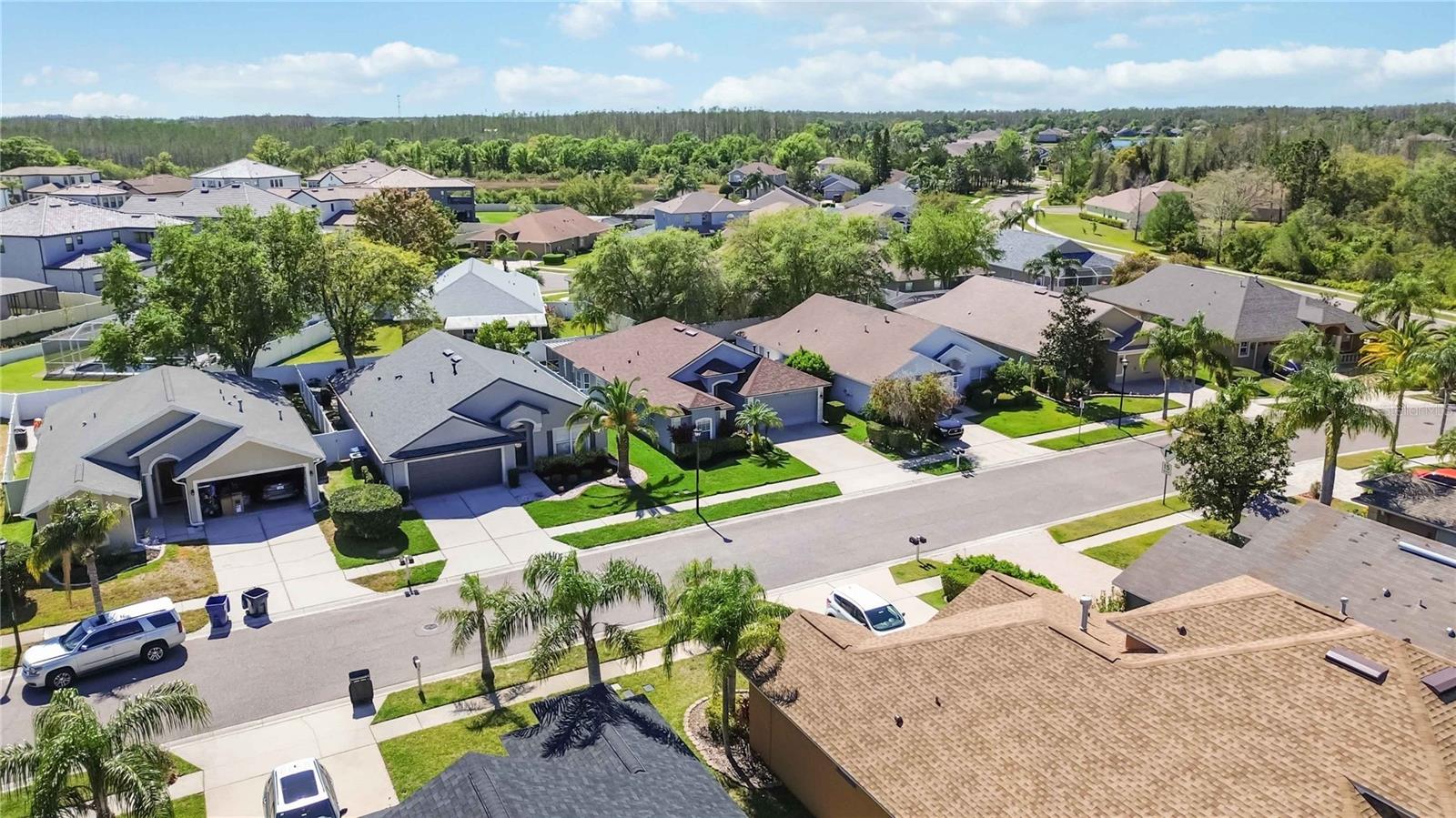 16620 FAIRBOLT WAY, ODESSA, FL, 33556