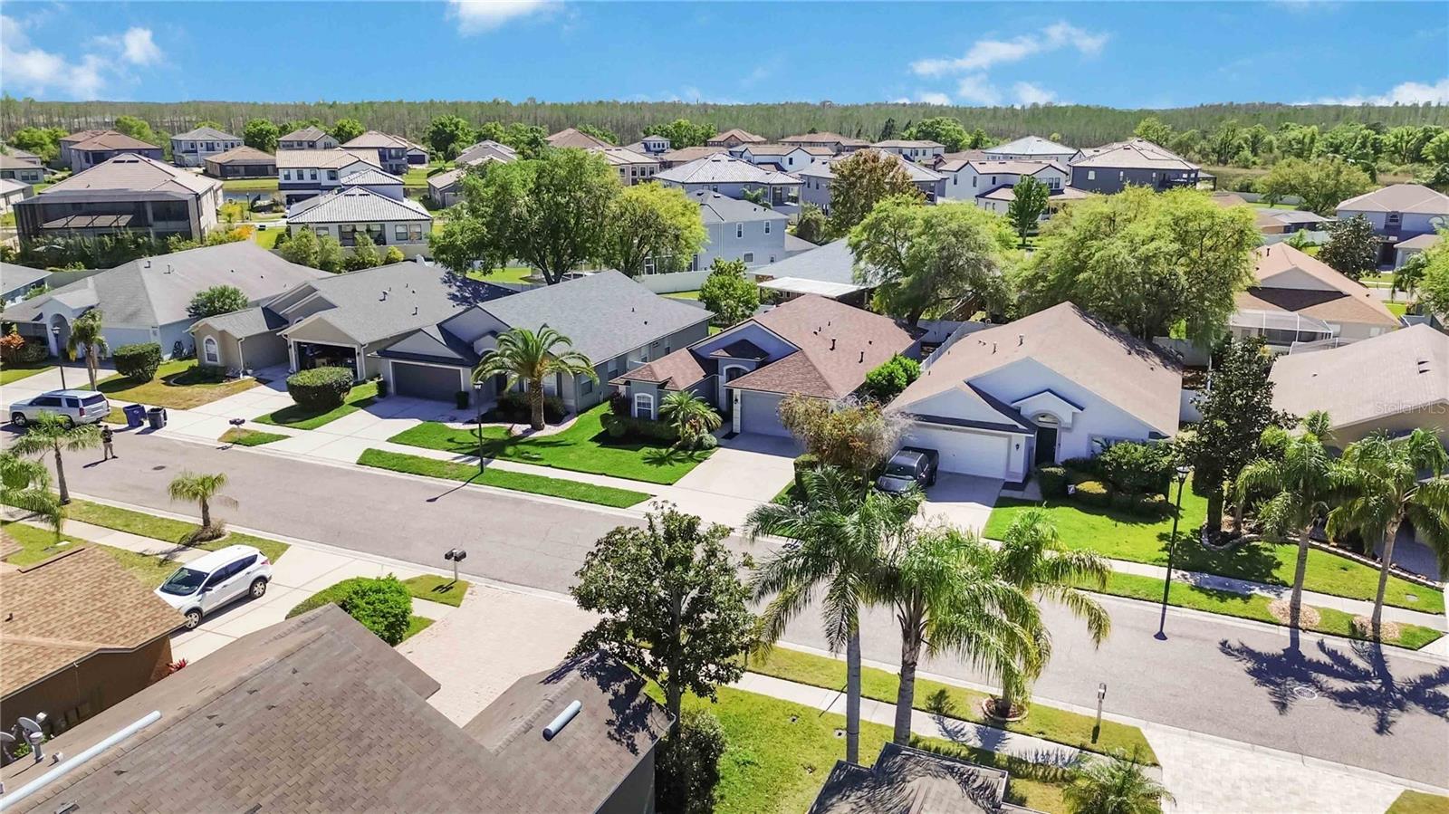 16620 FAIRBOLT WAY, ODESSA, FL, 33556