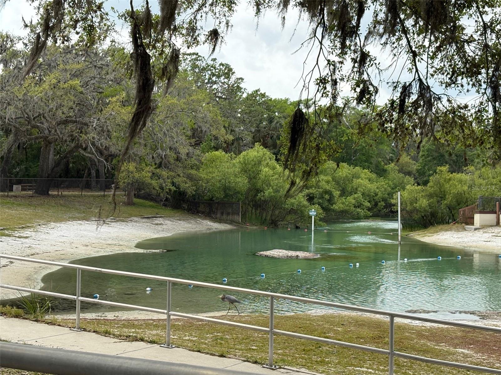 5716 HAWKLAKE RD, LITHIA, FL, 33547