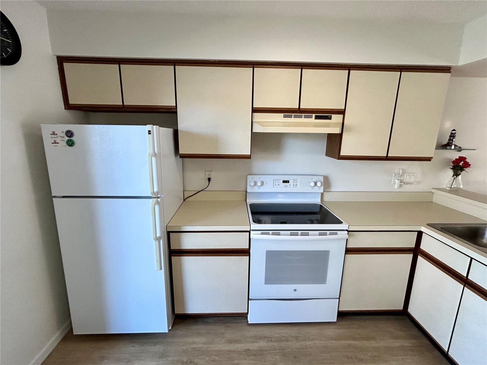 6533 SPRING FLOWER DR #11, NEW PORT RICHEY, FL, 34653