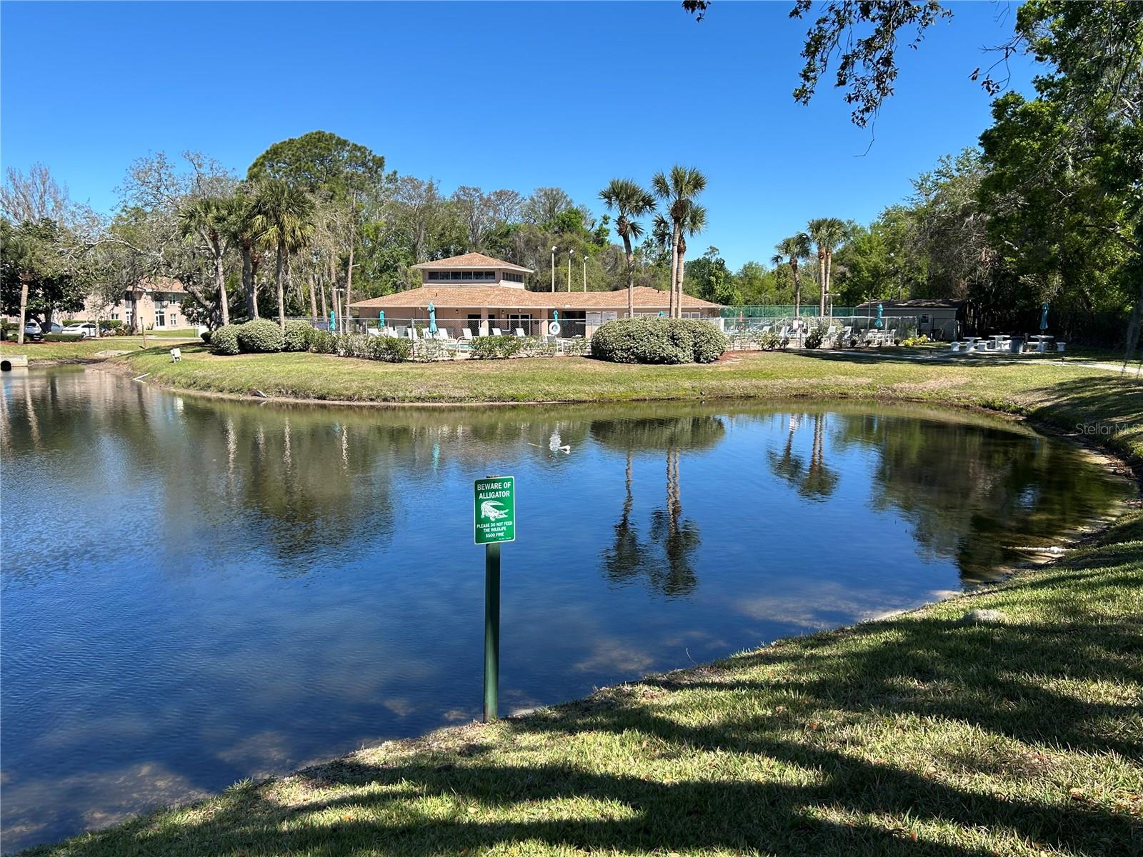 6533 SPRING FLOWER DR #11, NEW PORT RICHEY, FL, 34653