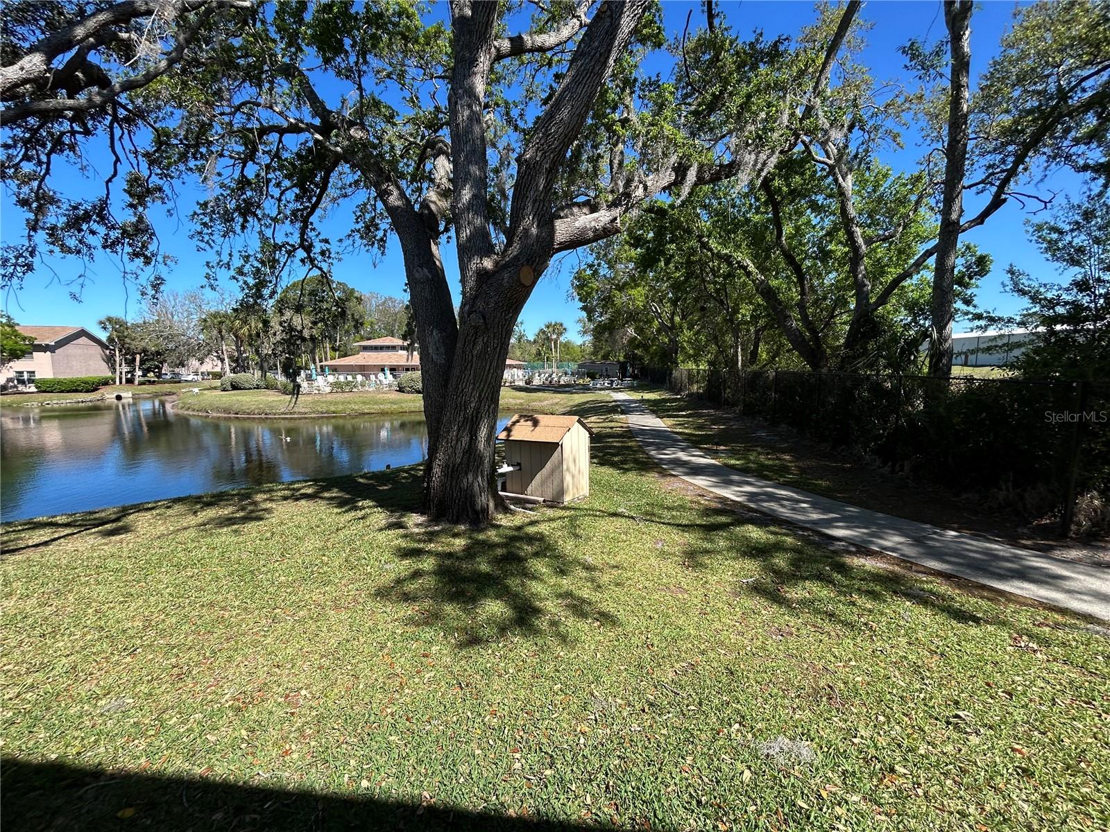 6533 SPRING FLOWER DR #11, NEW PORT RICHEY, FL, 34653