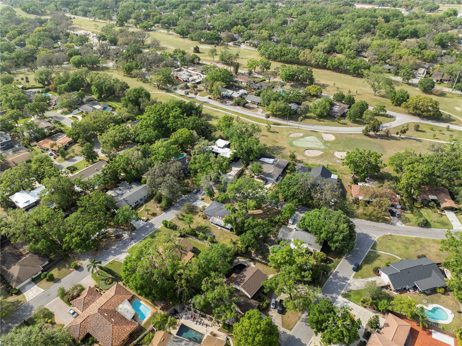 410 MONTROSE AVE, TEMPLE TERRACE, FL, 33617