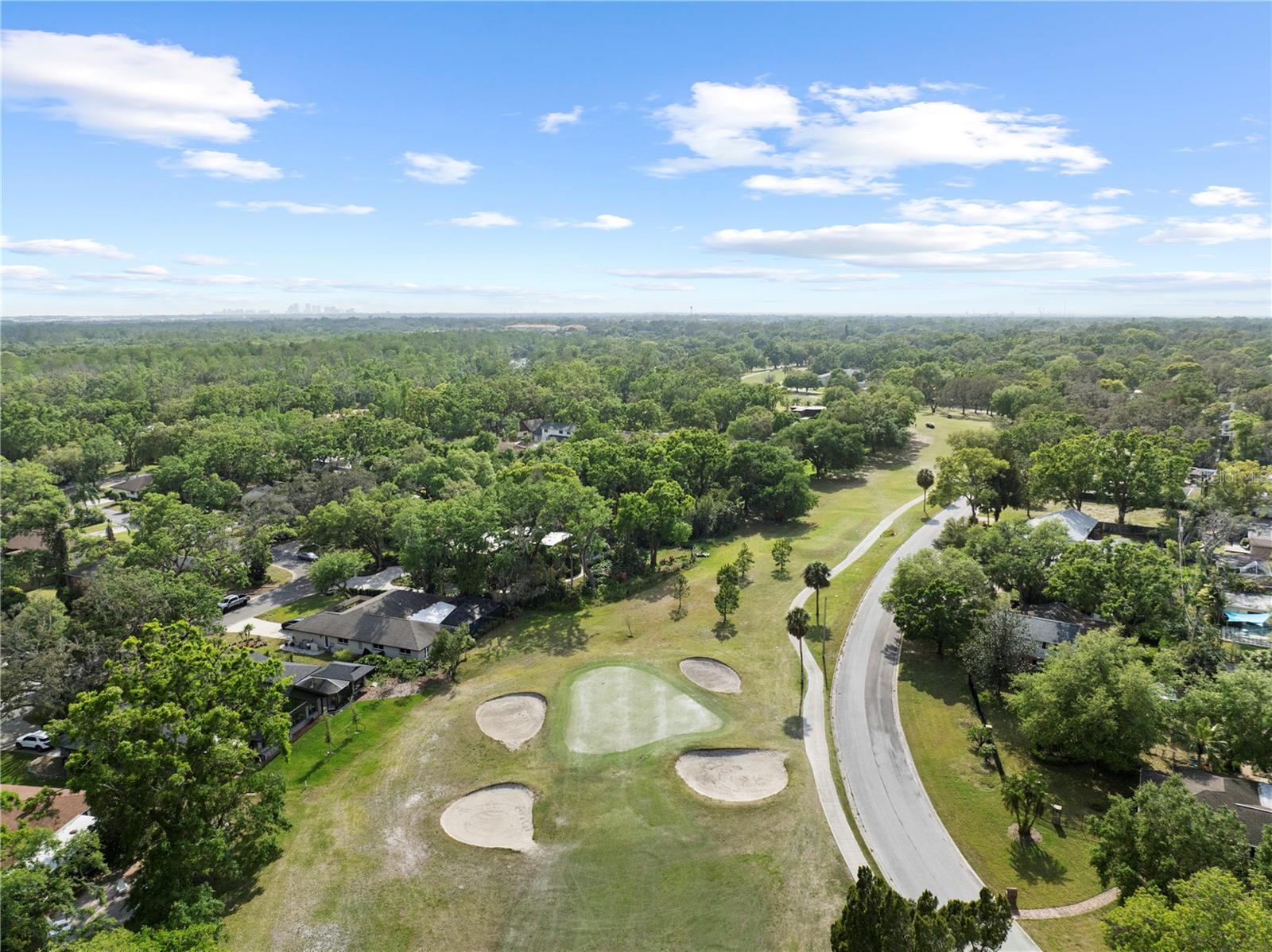 410 MONTROSE AVE, TEMPLE TERRACE, FL, 33617