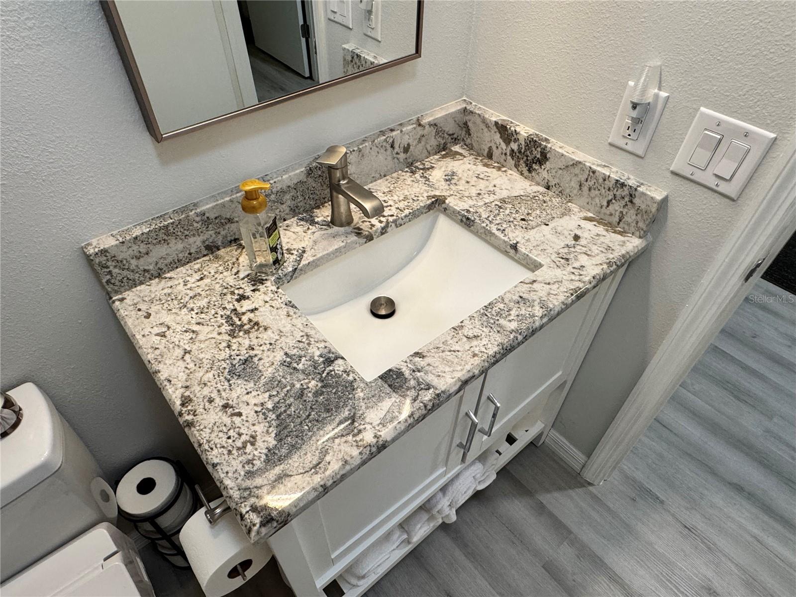 3428 ROANOKE ST, THE VILLAGES, FL, 32162