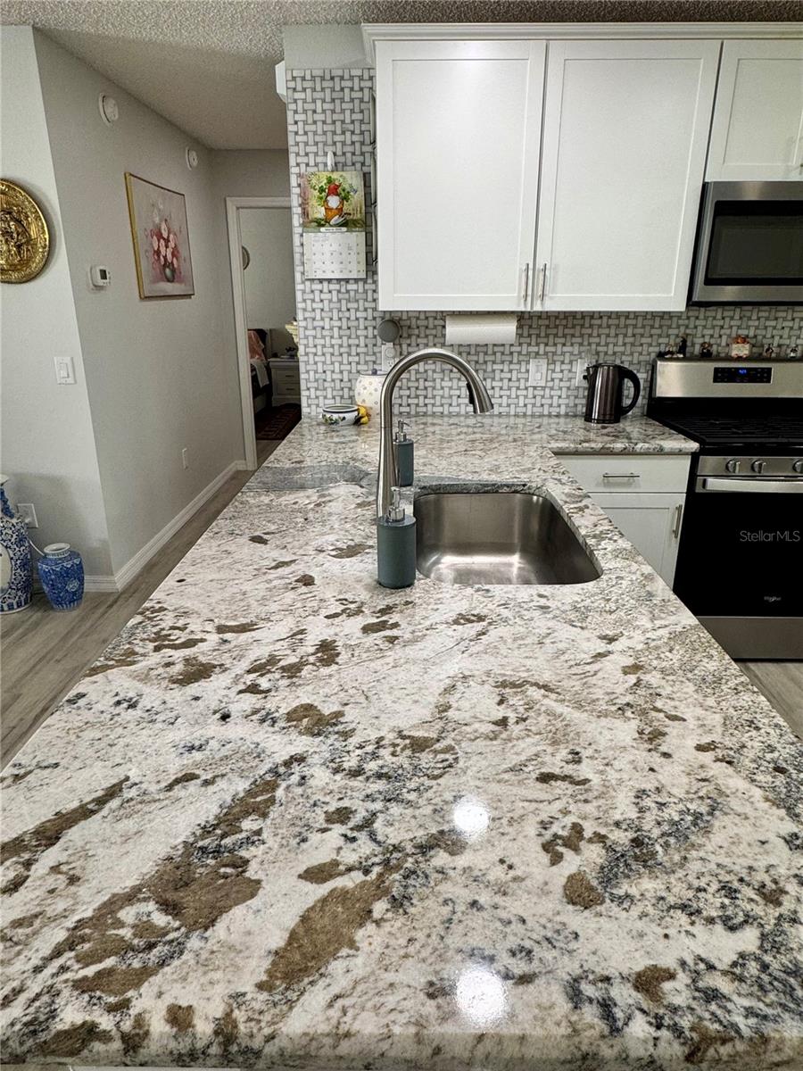 3428 ROANOKE ST, THE VILLAGES, FL, 32162