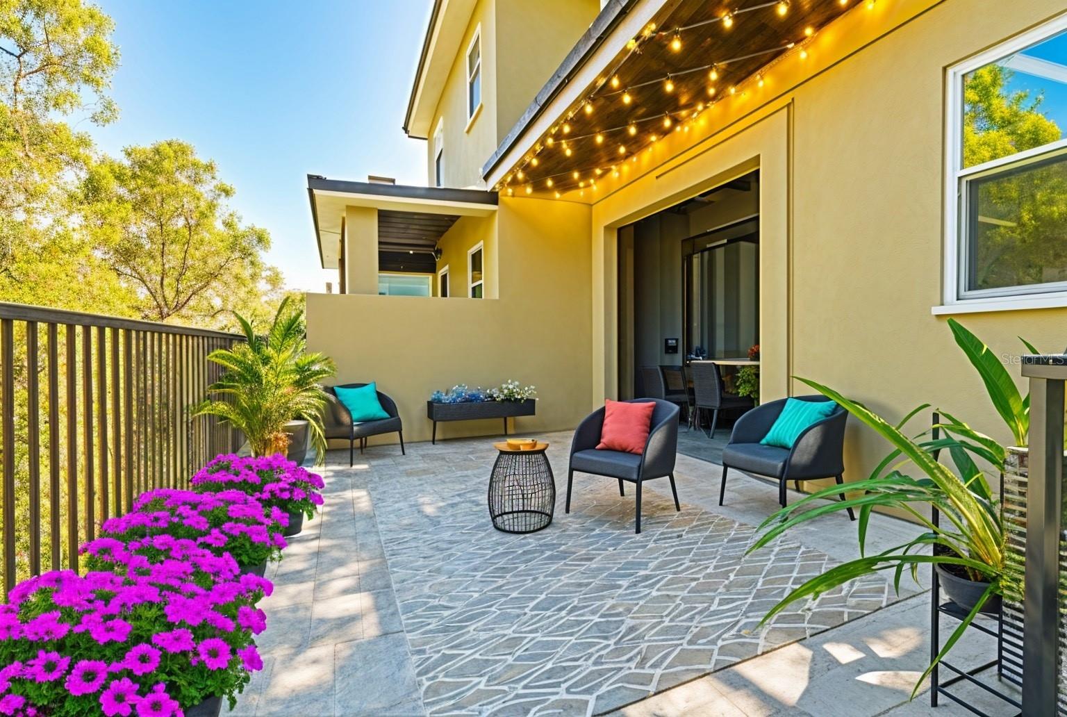 906 VINEYARD LN, OLDSMAR, FL, 34677
