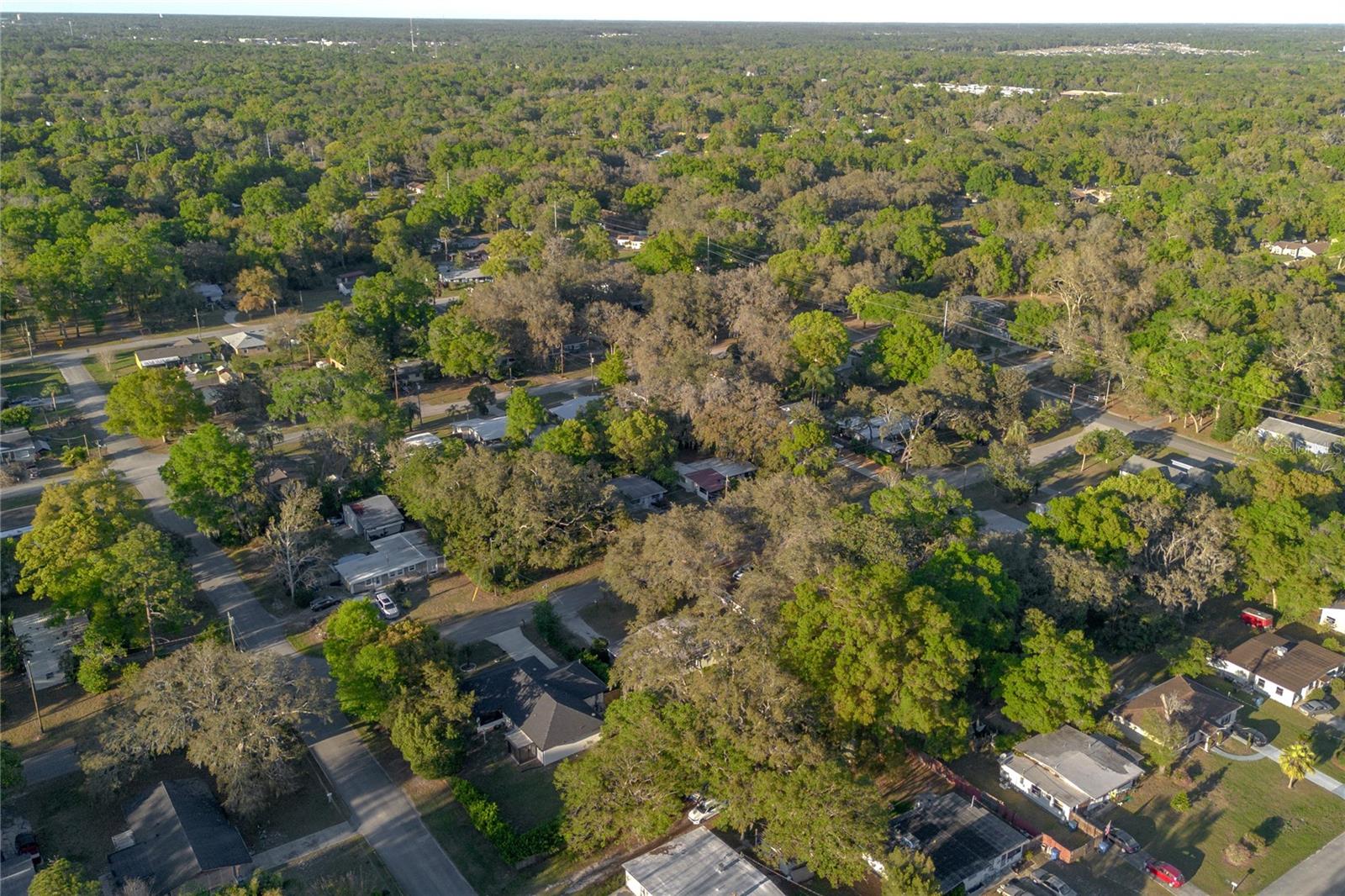 782 VALENCIA AVE, ORANGE CITY, FL, 32763
