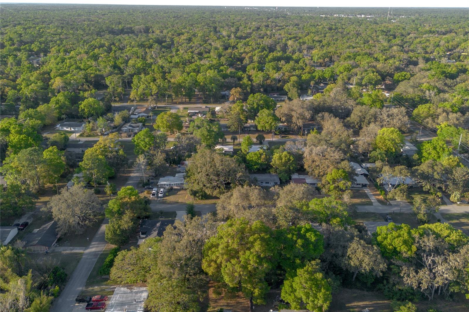 782 VALENCIA AVE, ORANGE CITY, FL, 32763