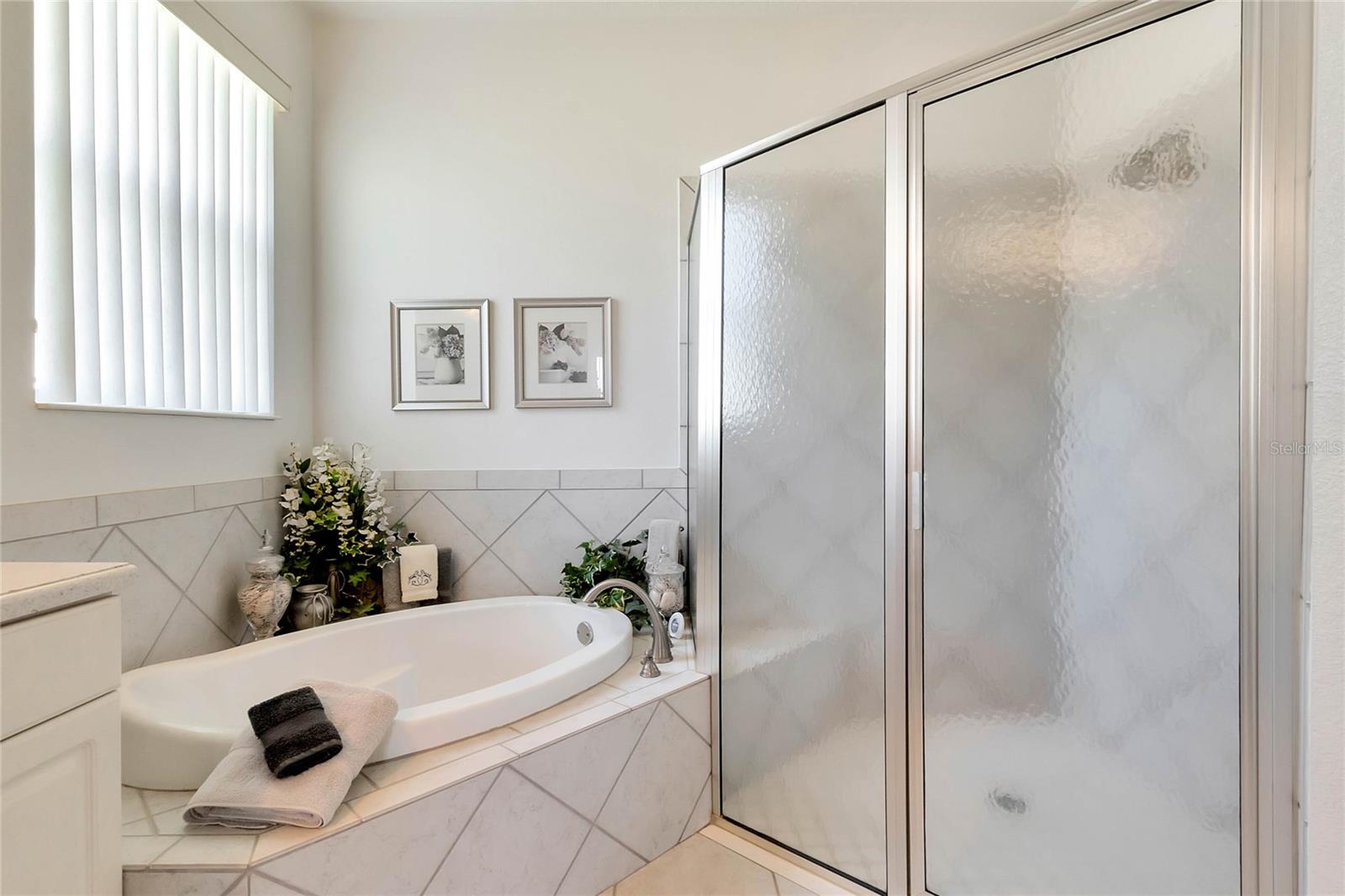 26737 AUGUSTA SPRINGS CIR, LEESBURG, FL, 34748