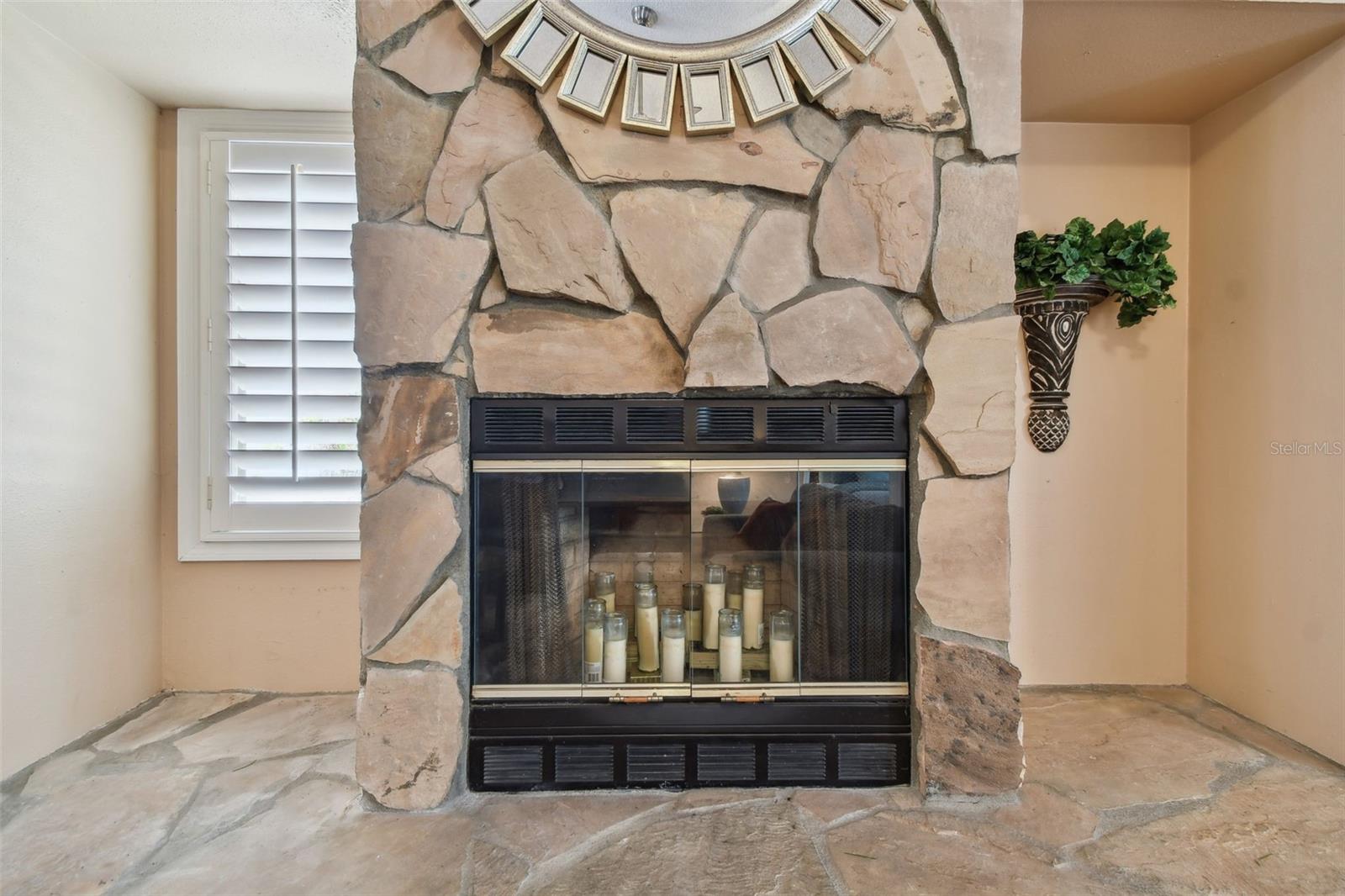 4393 BROOKER CREEK DR, PALM HARBOR, FL, 34685